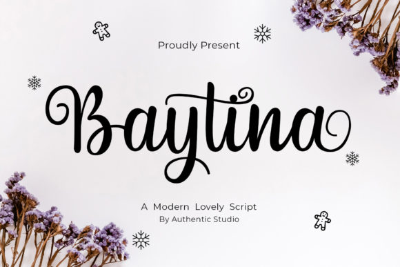 Baytina: A Romantic Script Font