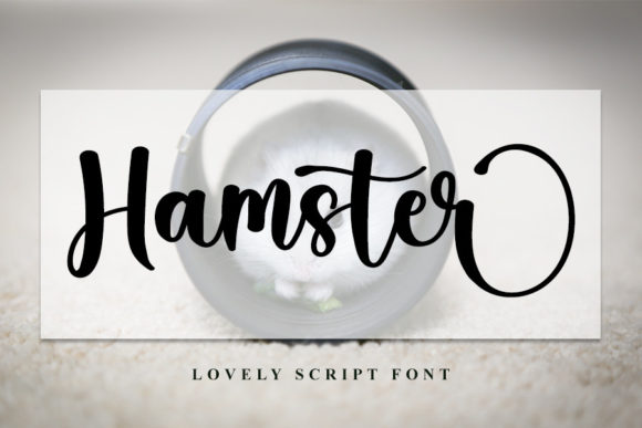 Hamster Font for Creative Projects