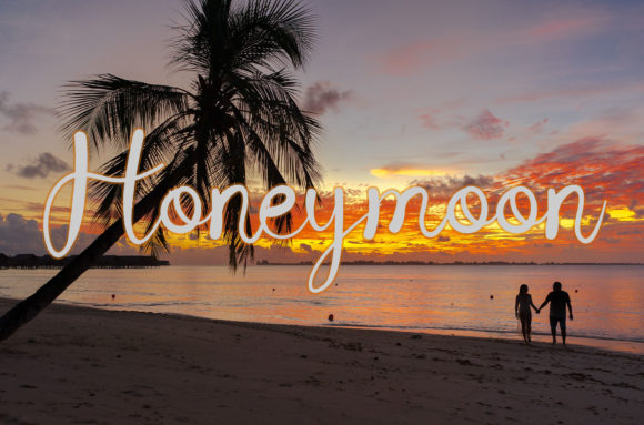 Hanymoon Font: Elegant Script for Digital Design